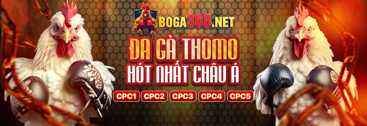 Hướng dẫn từng bước sử dụng mã 98win5 code