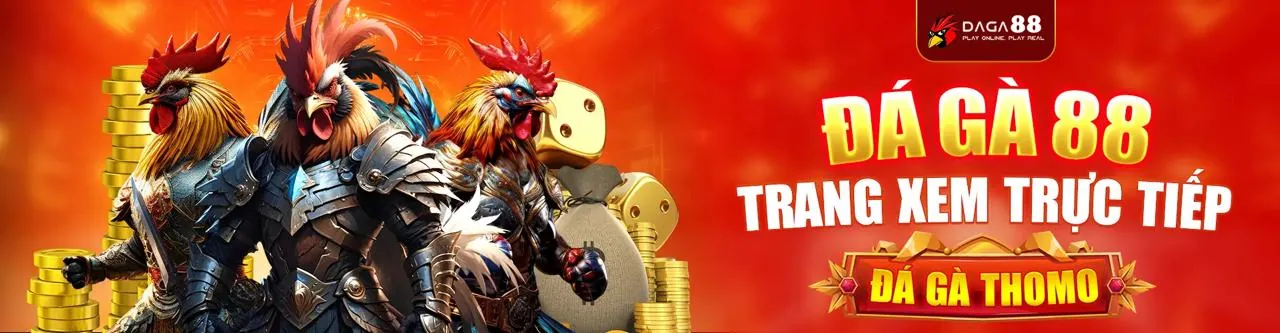 Hình ảnh chính về mã khuyến mãi 98win5