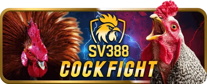 Hướng dẫn đăng ký và sử dụng Mã 98win5